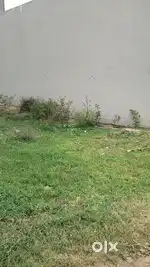 Pragati nagar Se Laga Shanti Kunj mein daiveded plot