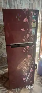 Brand new condition fridge money problem