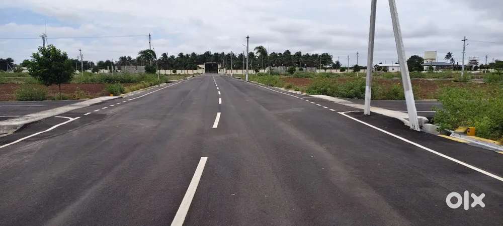 Low budget plots for sale at Pappampatti coimbatore