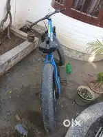 Sunbird fat cycle