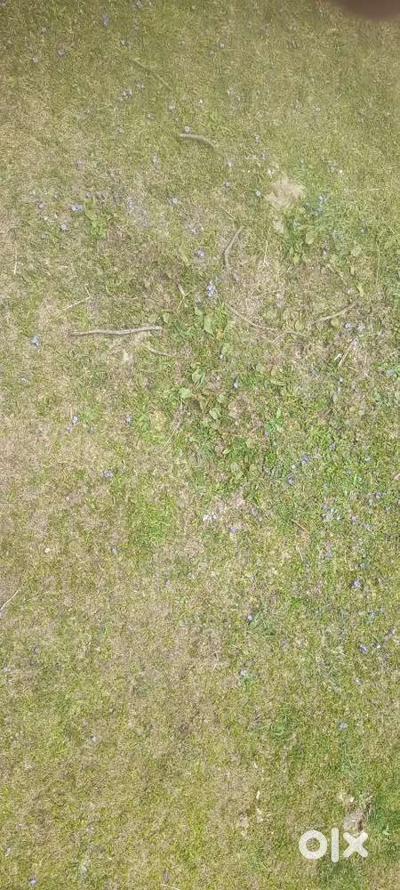 Best plot at sambalpur municipal corporation