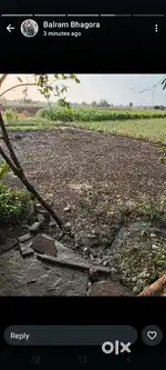 2 bigha agricultural land