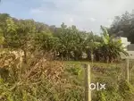 Premium House plot for sale 2.75/cent