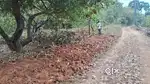 20 cents land for sale in Chandaryapalem village Narsipatto vizag road