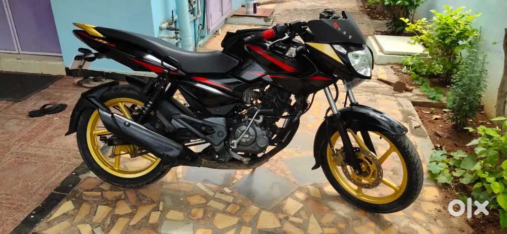 PULSAR 135LS