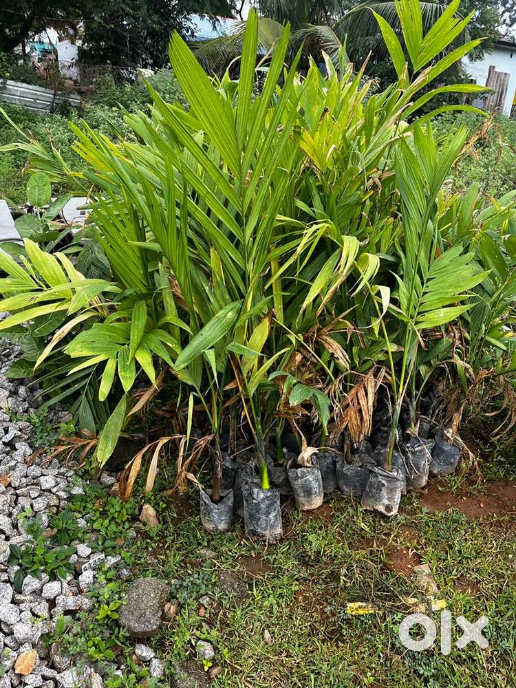 9 acres poultry and agricultural land for sale