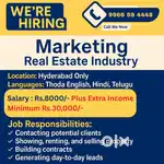Real Estate Consultant