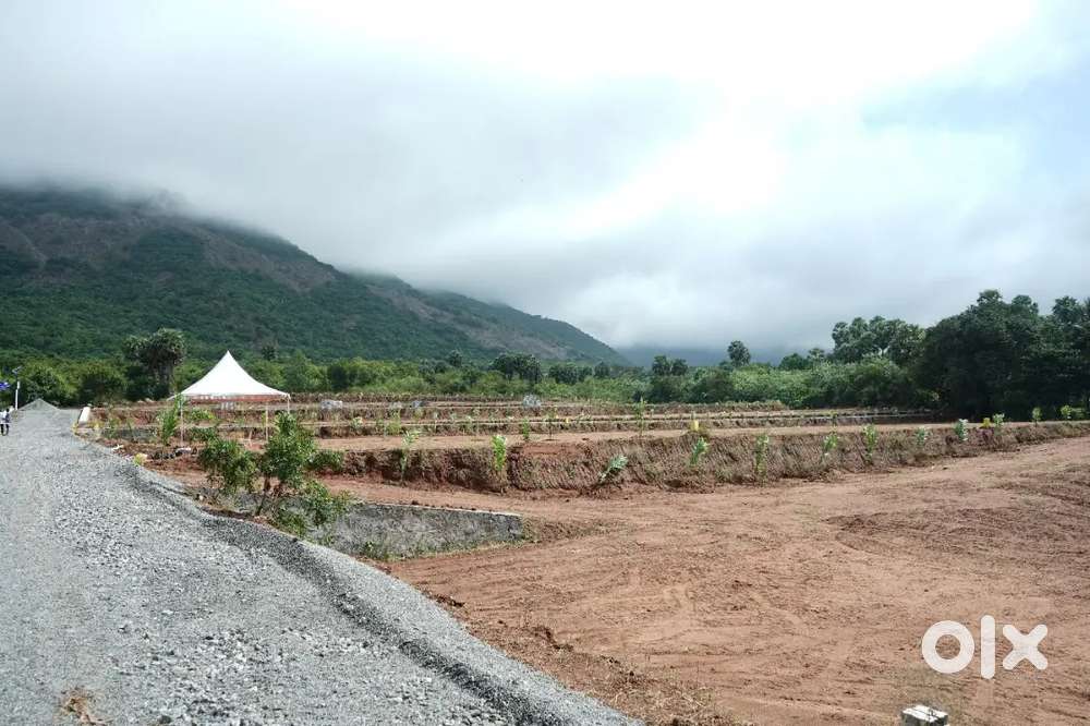Farmhouse style farmland near coimbatore