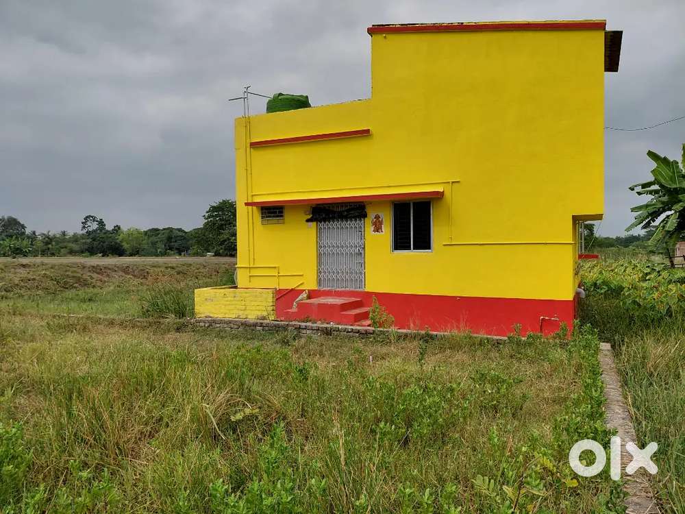 গঙ্গাজোয়ারা ব্রিজ থেকে ১০ মিনিটের হাঁটা পথে ৩ কাঠা ৯ ছটাক জমি বিক্রি