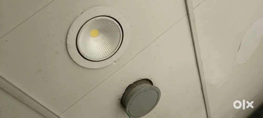 Pannel light 2 year