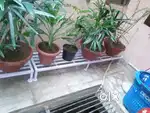 All types iron flower pots stand available manufacturer order supply