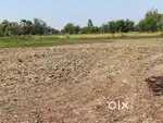 Land for sale at madheli waghodiya