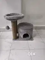 Cats home house 2 in 1