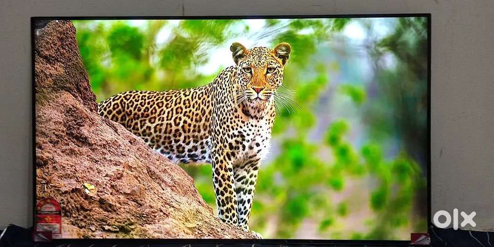 Offer 60% off 4k-smart LED-TV 24to55inch all size fremless android app