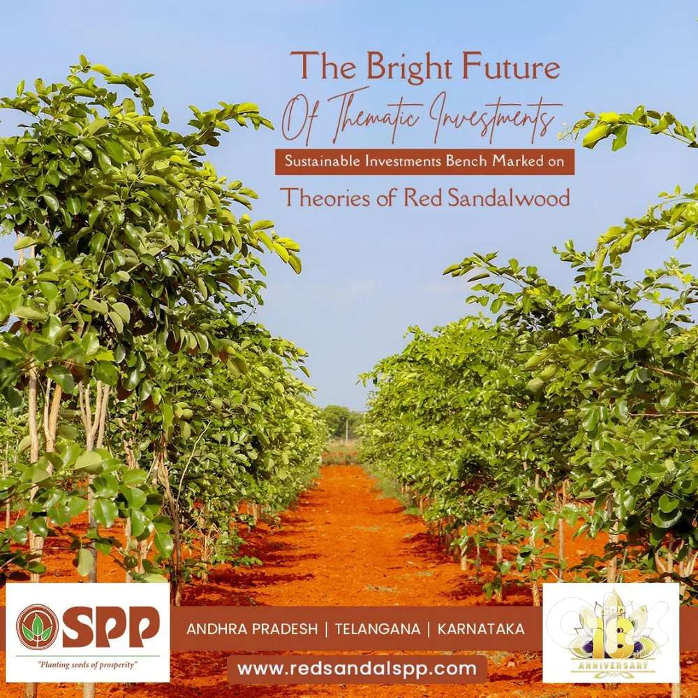One Acer Agriculture land for sale