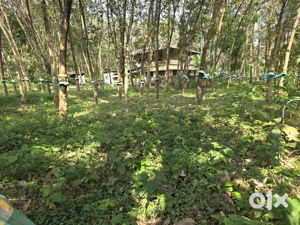 Land for sale plotwise or fully