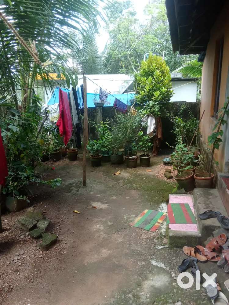 Plot for sale