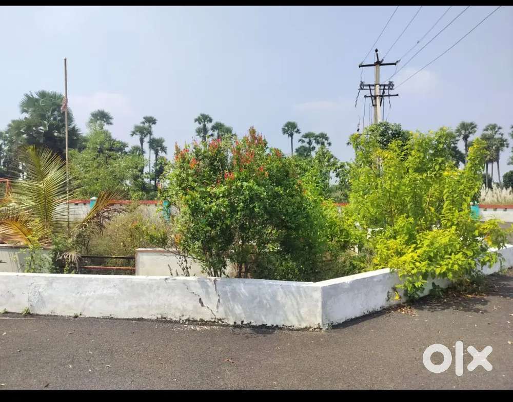 A NICE VUDA PLOT FOR SALE