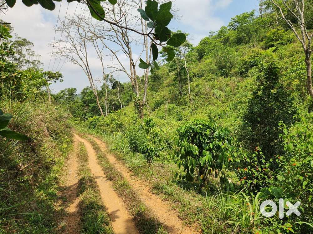1 ACER LAND FOR SALE WITH STUNNING VIEW ,FOGGY AREA ,TOURISM AREA