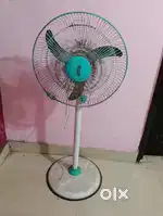 Padastral fan