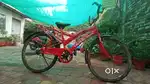 Lotus company cycle