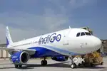 Urgent hiring for ground staff,for both experienced and freshers.