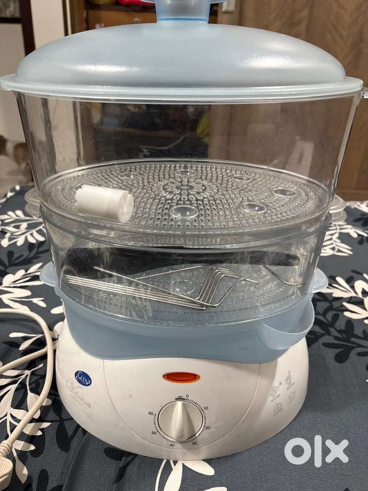 Electric steamer