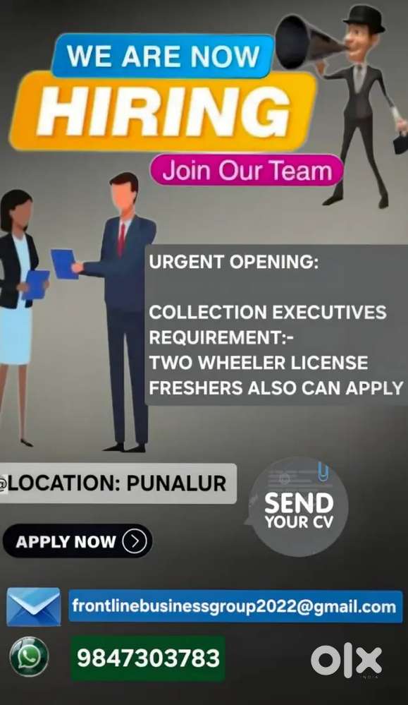 Collection executive