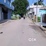 Indipendent Plote