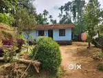 80 CENT LAND WITH 2 HOUSE FOR SALE @KANNUR RD ,WAYANAD