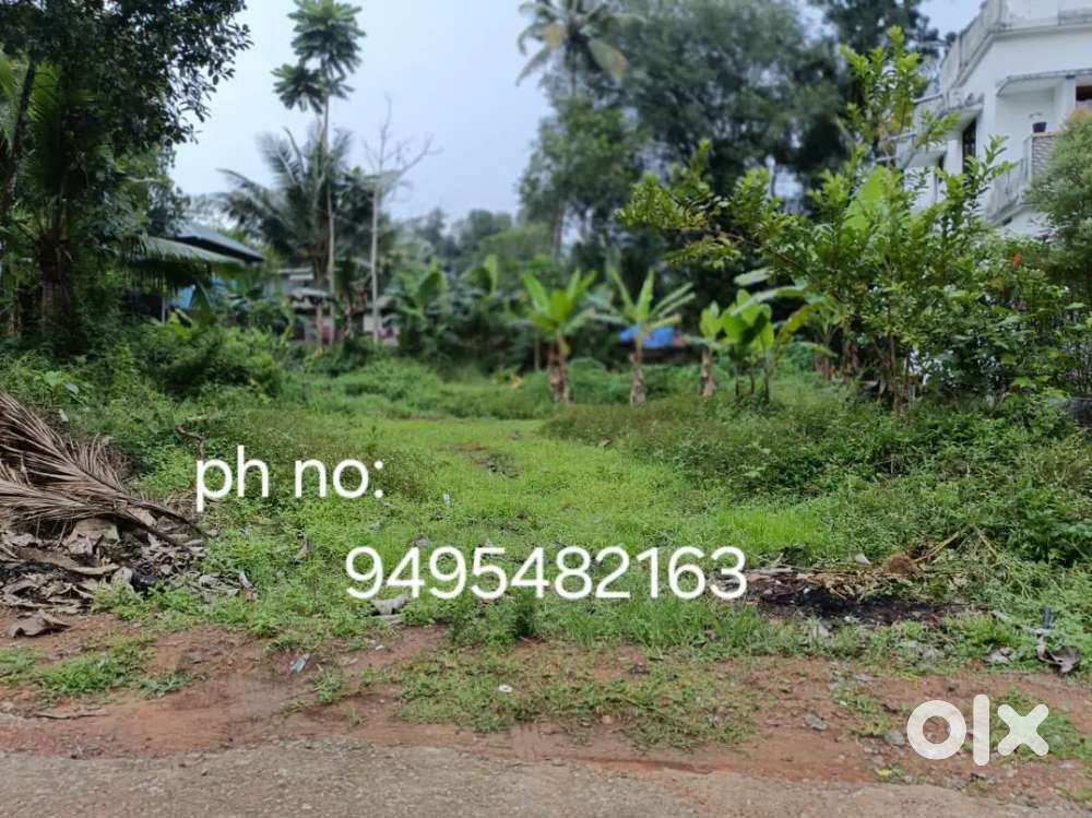 I want to sell my plot