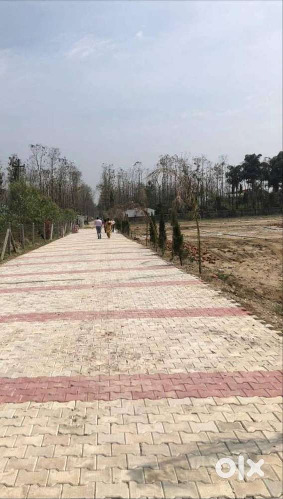 Plot for sale 16000rs pr sq yard