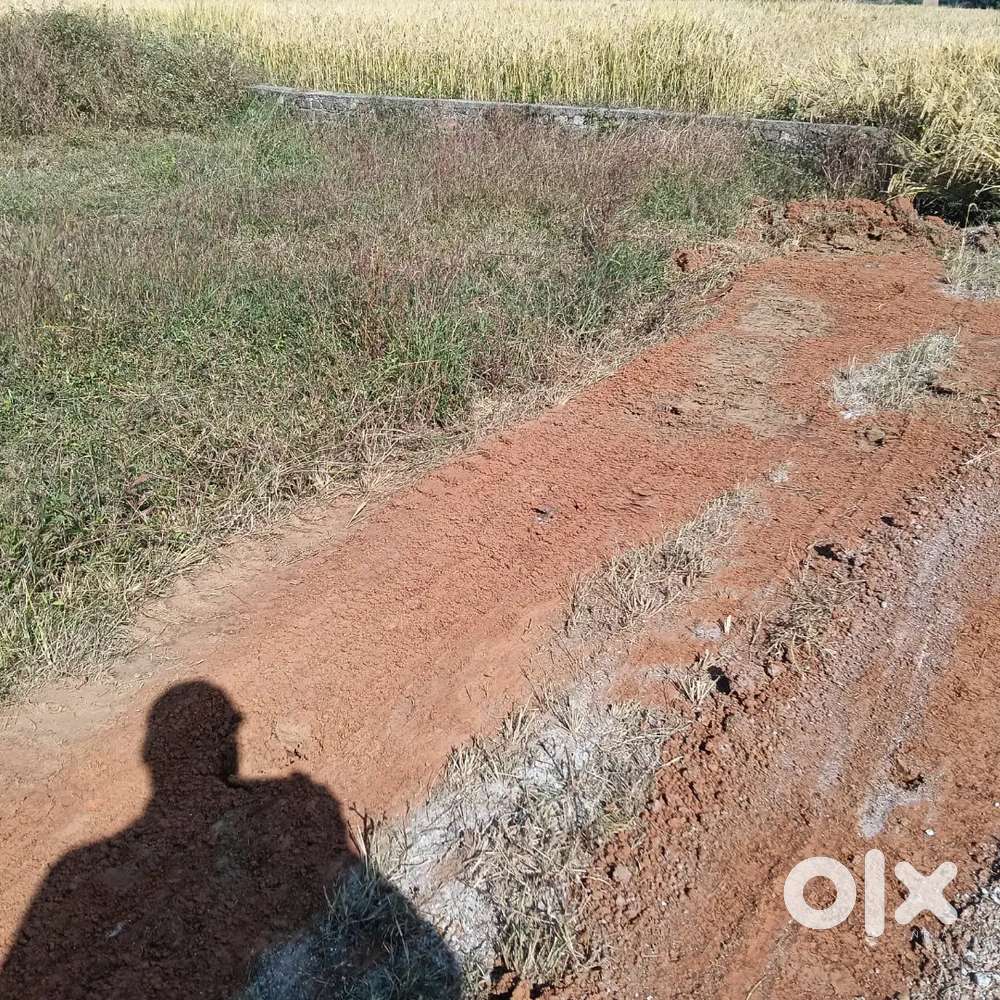 100 percent general plot