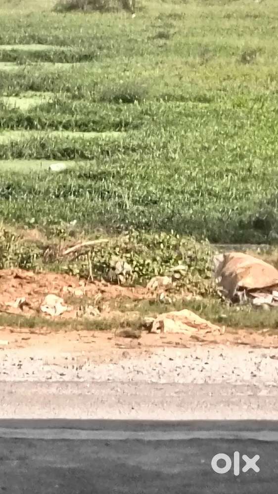 72 mtr Plot Bhudi vihar 9mtr wide road