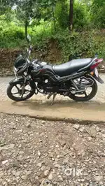 2011 passion pro