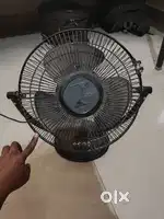 Zigma table fan
