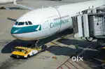 Jobs in IndiGo airlines call me for this job