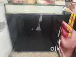 Shop counter