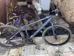 Sport cycle