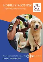 Pet Groomer Trainees