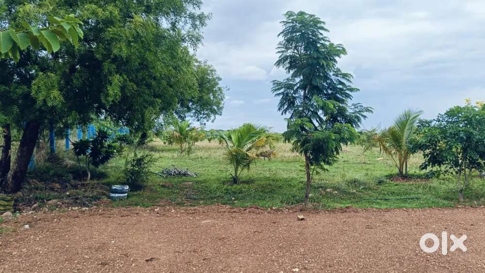 Exclusive farm House plots nearby DRDO RESEARCH FACILITATION CENTRE