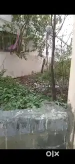 Net or clean plot available 15 dura ma hai 1 core 40 lakh khatta hai