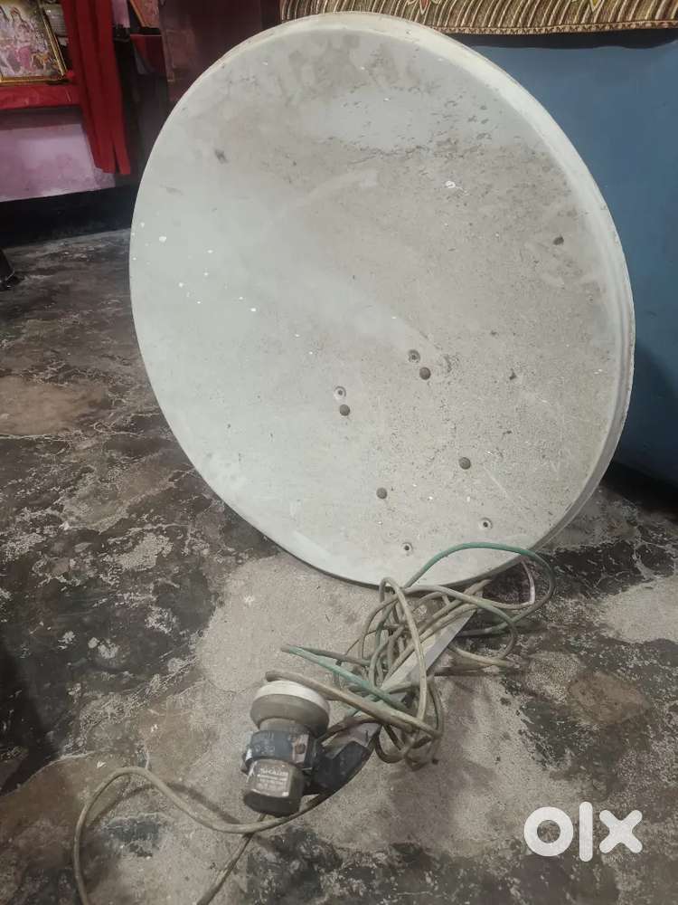 Full size Dish antenna