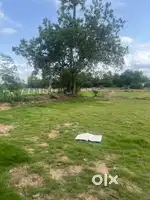 1 Acre prime agricultural land for sale
