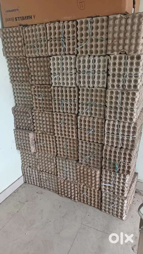 Egg tra pepaar kaada