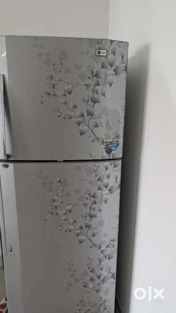 LG Double Door Fridge 240 L