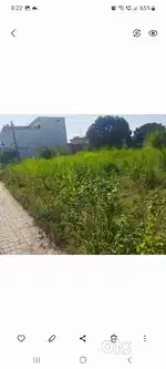 1800sqft. Residential Plot for Sale in Rampuram colony Kashipur