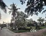 Land For Sale. 30 Metres From NH66. Ideal For Construction/Investment