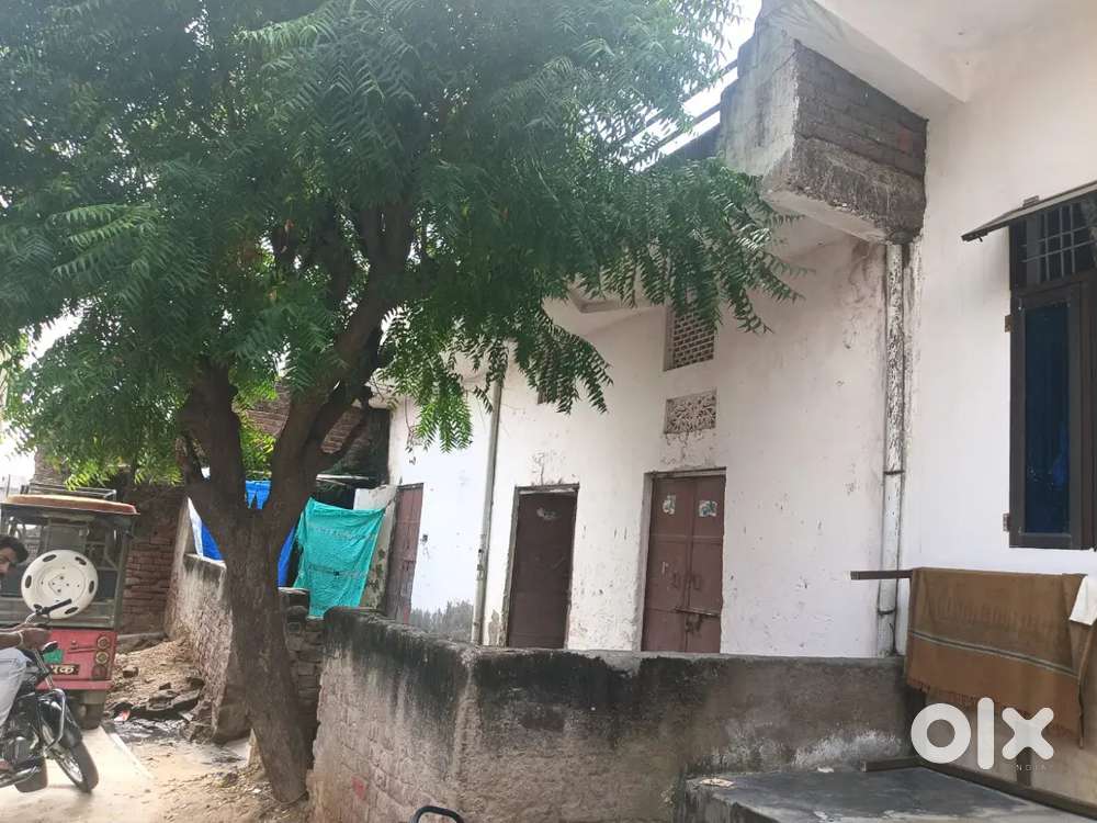 This house is available in reginable price