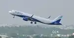 We are hiring Indigo airline best candidate apply fast